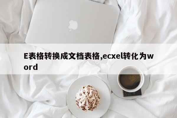 E表格转换成文档表格,ecxel转化为word