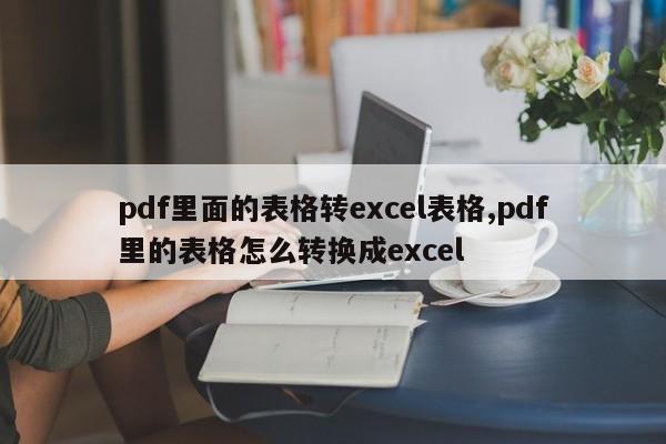 pdf里面的表格转excel表格,pdf里的表格怎么转换成excel